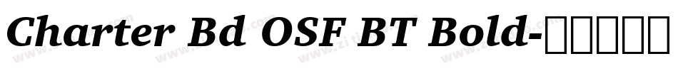 Charter Bd OSF BT Bold字体转换